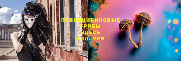 кокс Алзамай