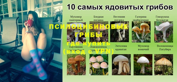 таблы Алексин